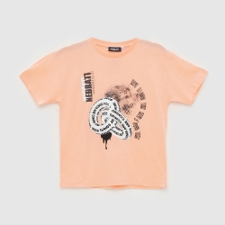 Picture of Peach Color T-shirt For Boys - 22SS0NB3524
